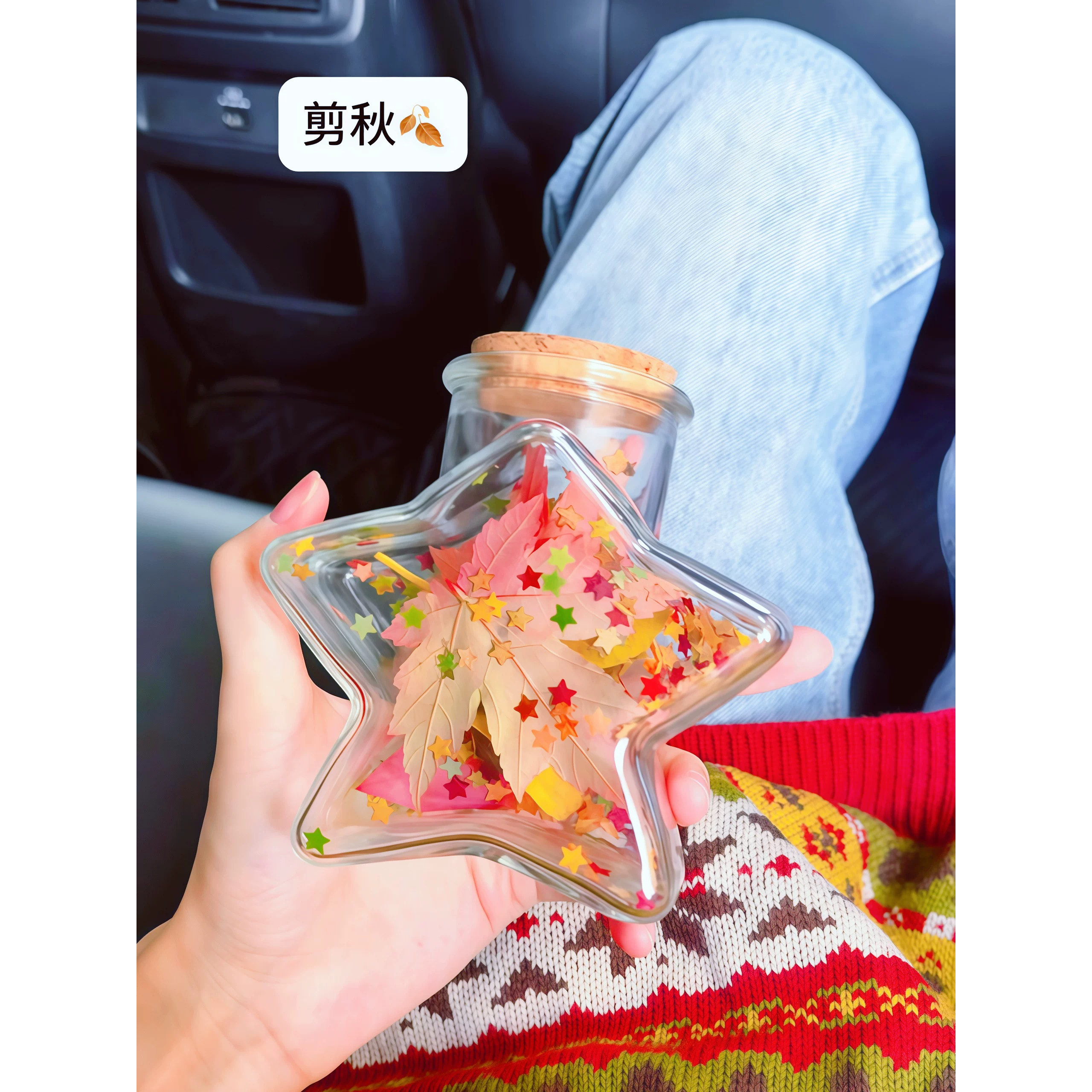 【定格秋天】玻璃星星瓶透明许愿瓶枫叶手工diy玻璃瓶摆件漂流瓶