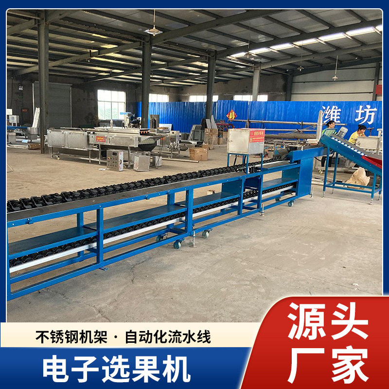 释迦果分拣机动态称重选果机贝贝南瓜分选机无损分级机智能分拣