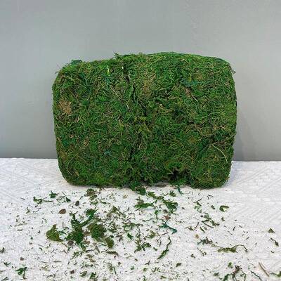 仿真植物干花青苔草饰藓苔家zj322315居酒插花店配件盆景配草家居