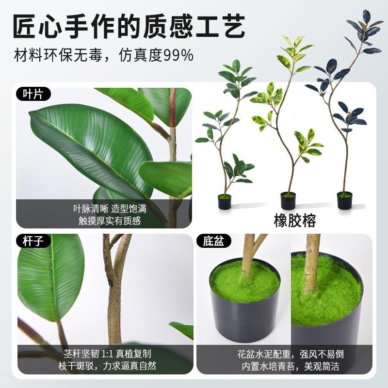 厂家栽绿植黑金刚橡仿橡皮树造景盆黑金大盆栽客厅装饰假绿植造刚