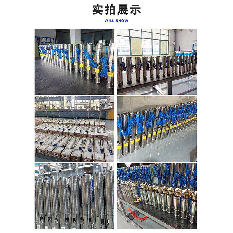 低压立UIK直流无刷喷步泉泵景观喷造景专用泵泉永磁同电机卧式喷