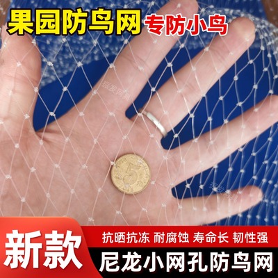 新款尼龙小网孔防鸟网果园专用