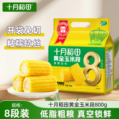 十月稻田黄糯玉米段8段