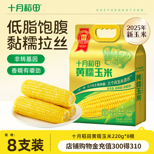 十月稻田黄糯玉米220g*8根