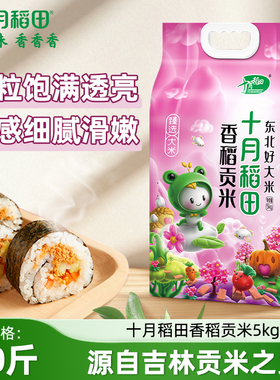 2025新米十月稻田大米香稻贡米5kg东北大米香米饭团寿司用米10斤