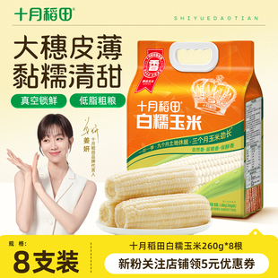 袋旗舰店 十月稻田白糯玉米260gx8根香糯玉米东北苞米大穗真空包装
