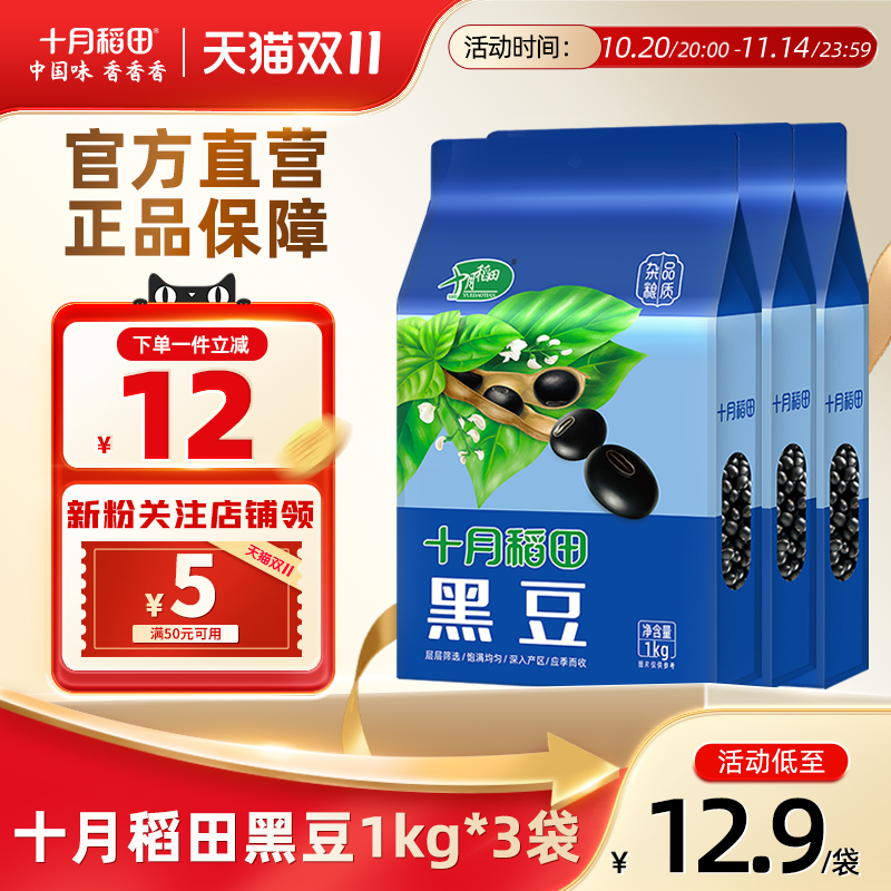 十月稻田黑豆东北绿心黑豆