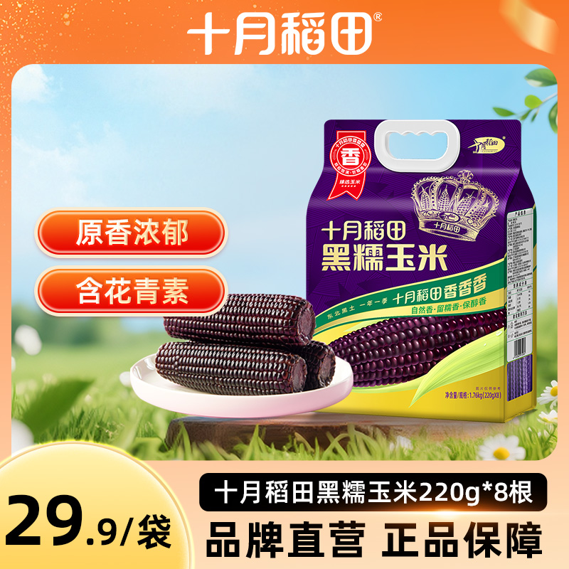 十月稻田东北黑糯玉米8根