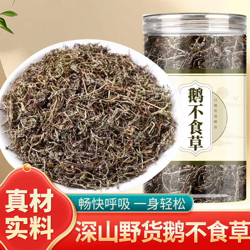 鹅不食草中药材500g苍耳子鹅不食草新鲜野生鹅不吃草粉泡水喝