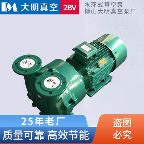厂供2BV5110/2BV5111/5121/2BV5131/51612BV系列耐腐蚀水环真空泵