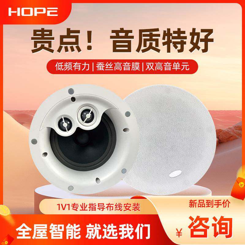 HOPE/向往700背景音乐定阻吸顶喇叭20W双声道背景音乐系统大喇叭
