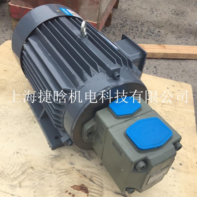 液压泵电机Y2YB-250M-4液压系统油泵电机55KW
