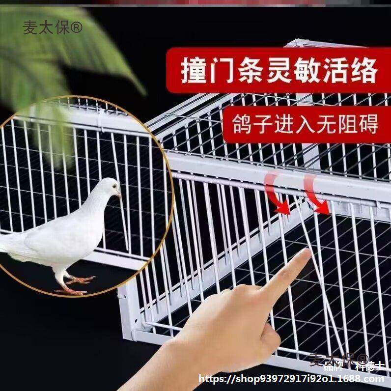捕鸽神器只进不出户外天落笼楼顶收鸽笼笼全自动抓鸽子野麦太保