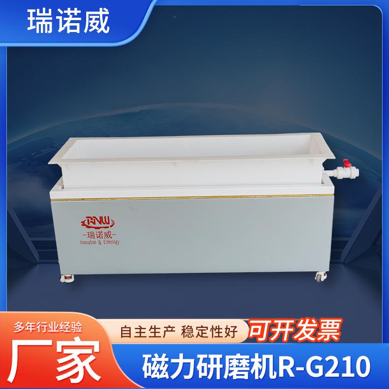 R-G210双工位磁力抛光机研磨机五金零件抛光针清洗去毛刺一体机