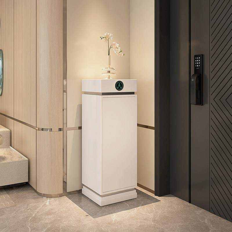 轻奢智能消毒鞋柜一体靠墙家用门口入户玄关柜省空间网红收纳柜子,住宅家具,鞋柜,淘宝优惠券,粉丝福利购,淘宝优惠卷