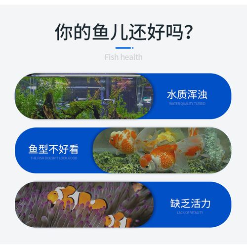恒笙迅拓 HS造浪泵控制盒 鱼缸变频环流造浪吹增氧家庭鱼池潜水泵