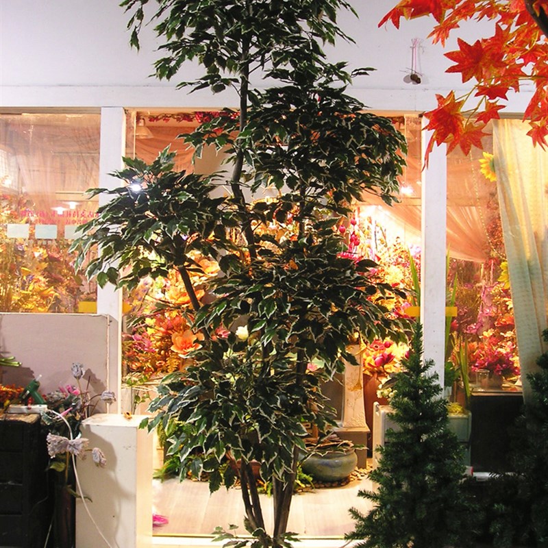 仿真植物-仿真树(假树)-5球大型美国榕树(工程布景客厅装饰)