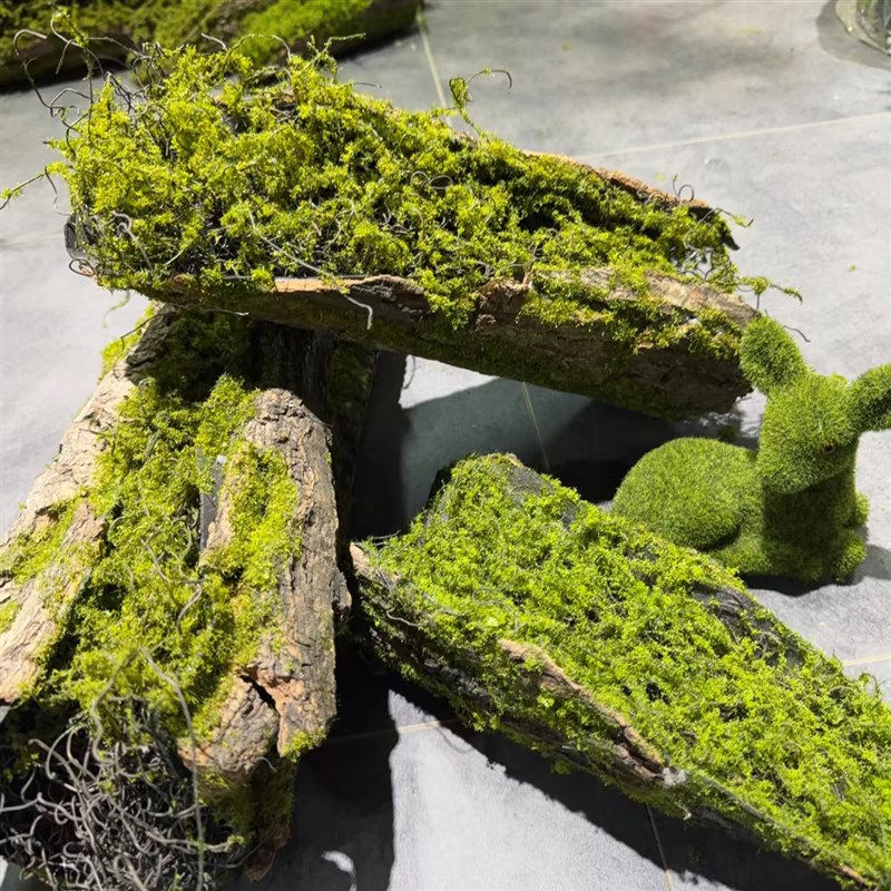 仿真木头枯树干苔藓树皮树根造景绿植美陈装饰摄影道具幼儿园