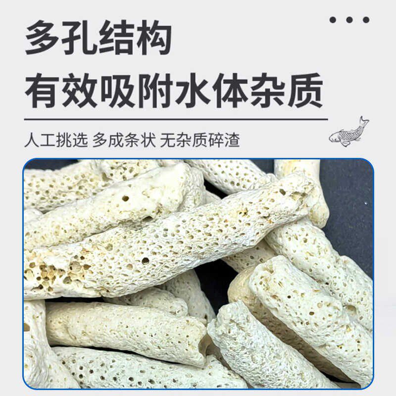 天然纯净珊瑚骨海水鱼缸过滤材料珊瑚缸钙反耗材底砂珊瑚沙珊瑚石