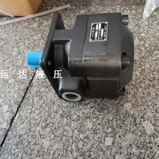 高压叶片泵 液压叶片泵 YBD 10MPA 100