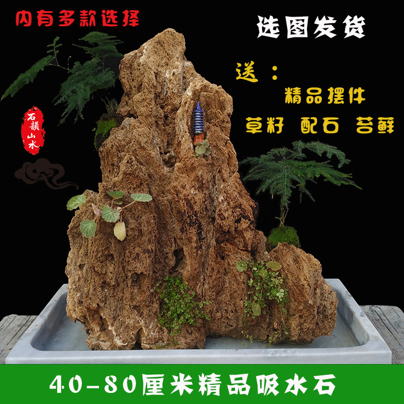 吸水石头盆景上水石水秀原石客厅中大观赏奇石真石植物假山造型石