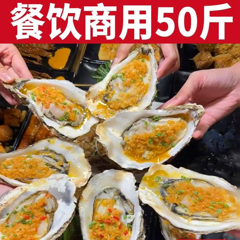 商用50斤鲜乳山生蚝海蛎子牡蛎餐饮烧烤店摆摊高压锅生蚝