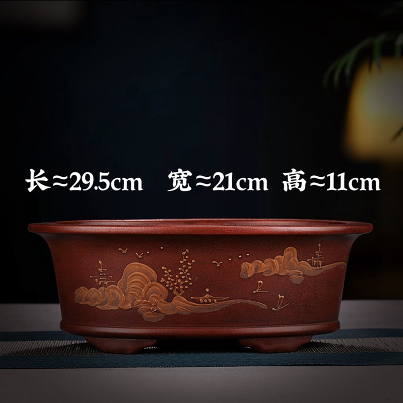 高端精紫砂花盆大号多肉金弹子黄杨椭圆盆景盆云竹绿植陶瓷盆阳台