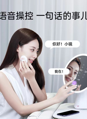 FPD化妆镜智能美妆镜LED补光梳妆台式桌面卧室家用小众又高级网红