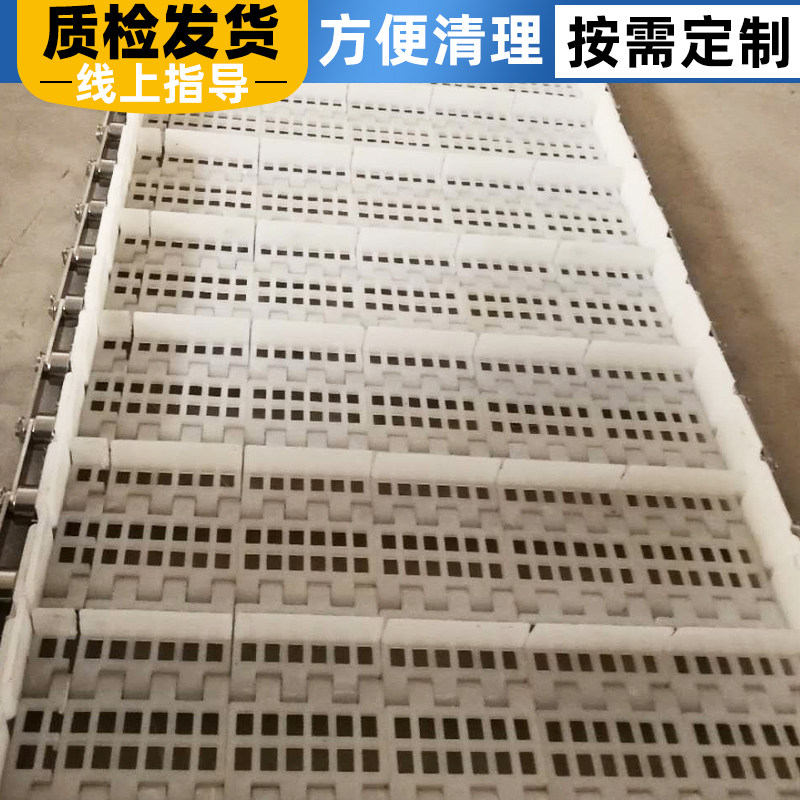 塑料链板输送带 挡板式网带输送带 食品清洗流水线PP塑料尼龙链板