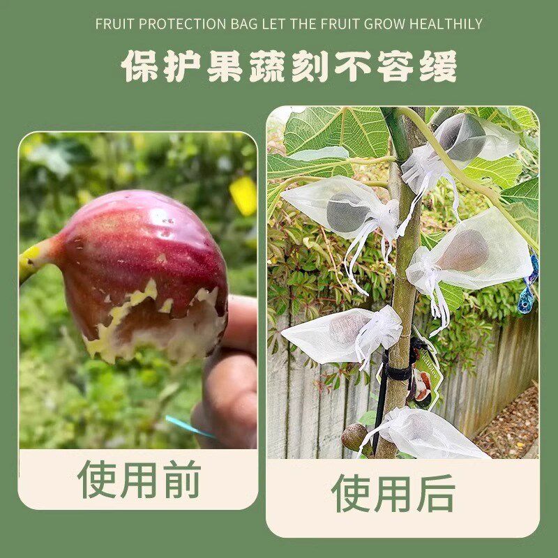 水果套袋防鸟通用袋瓜果防虫专用袋无花果枇杷葡萄桃子草莓育苗袋