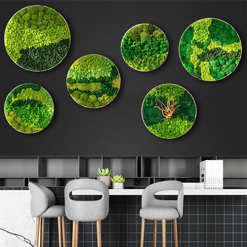 永生苔藓圆形相框挂画壁挂壁式植物墙仿真绿植微景观造景玄关设计