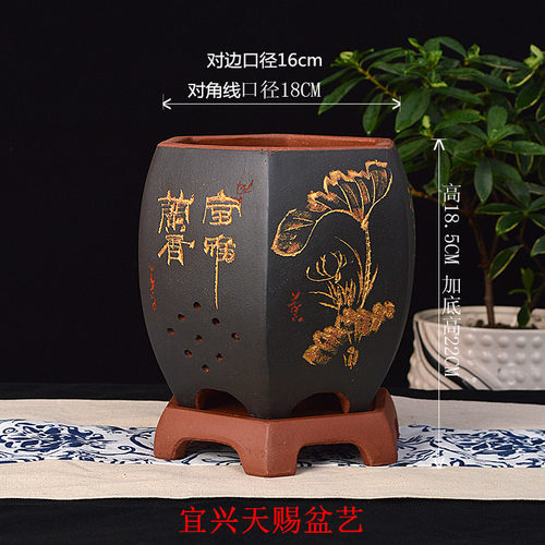 宜兴紫砂兰花盆091六方精品兰绿萝吊兰景植物带托透气包邮