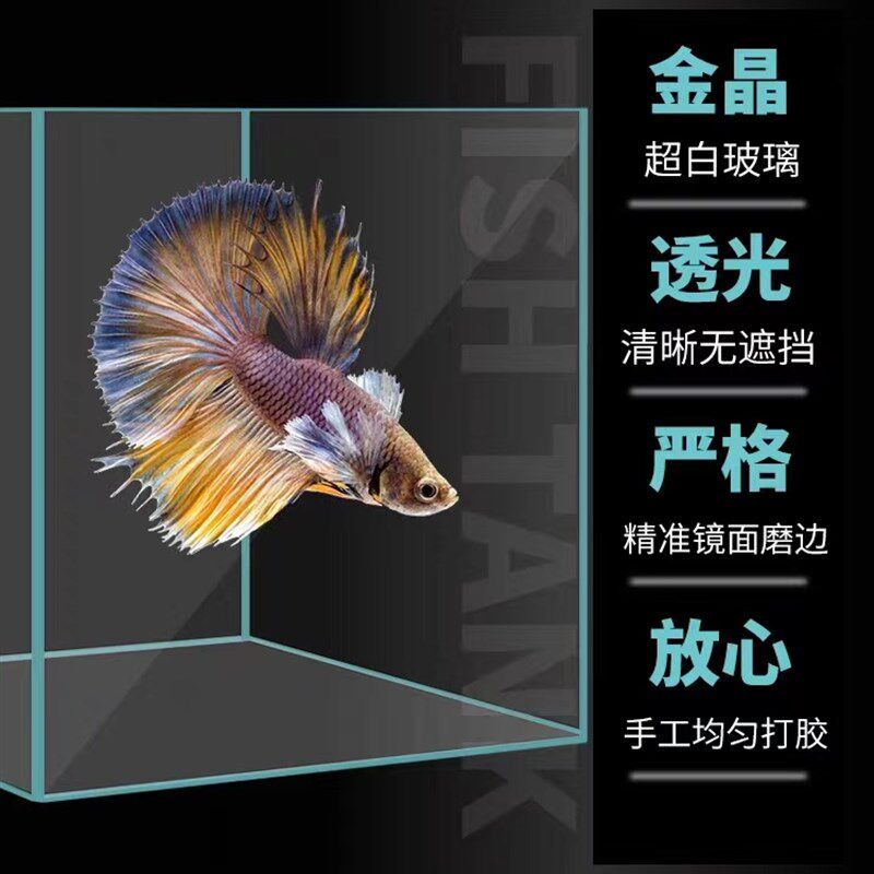 金晶五线超白鱼缸山东玻璃客厅家用办公桌长方形金乌龟缸生态造景