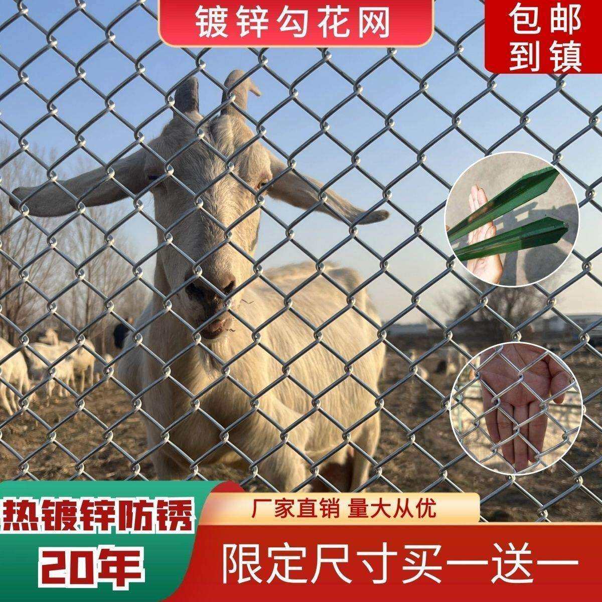 热镀锌铁丝网围栏网养鸡狗牛羊养殖网勾花网钢丝网户外防锈防护网