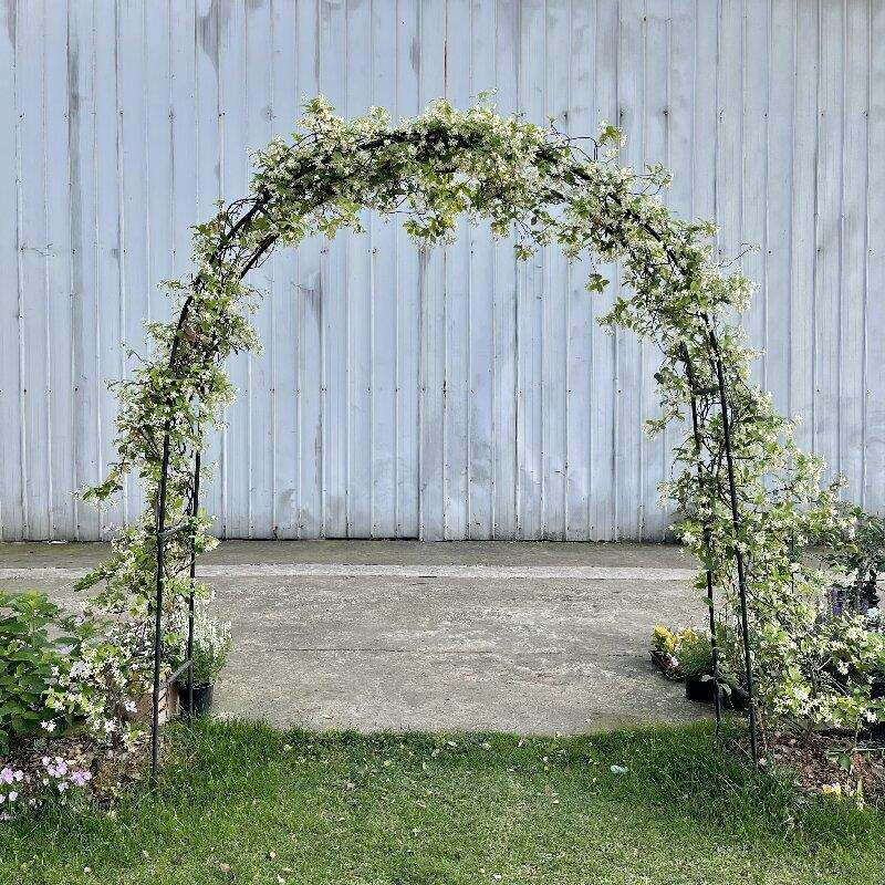 简易拼接花园拱门植物爬藤架风车茉莉蓝雪花月季铁艺花架支架