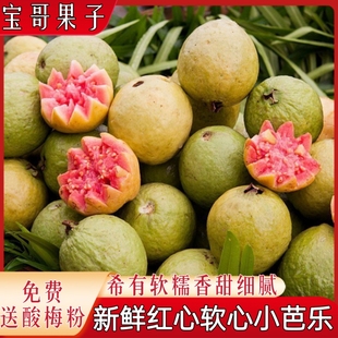 红心软心芭乐心软福建香甜番石榴应季新鲜水果正宗鸡屎批发奶油