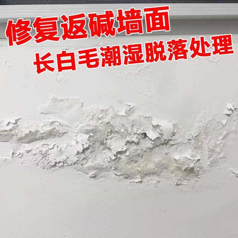 墙面修复补墙膏处理墙碱长白毛防水防潮防霉发霉修补潮湿起皮脱落,基础建材,墙面修补膏,淘宝优惠券,粉丝福利购,淘宝优惠卷