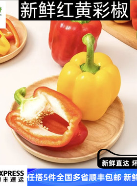 红黄彩椒500g 灯笼椒甜辣椒新鲜生吃圆椒沙拉蔬菜食材