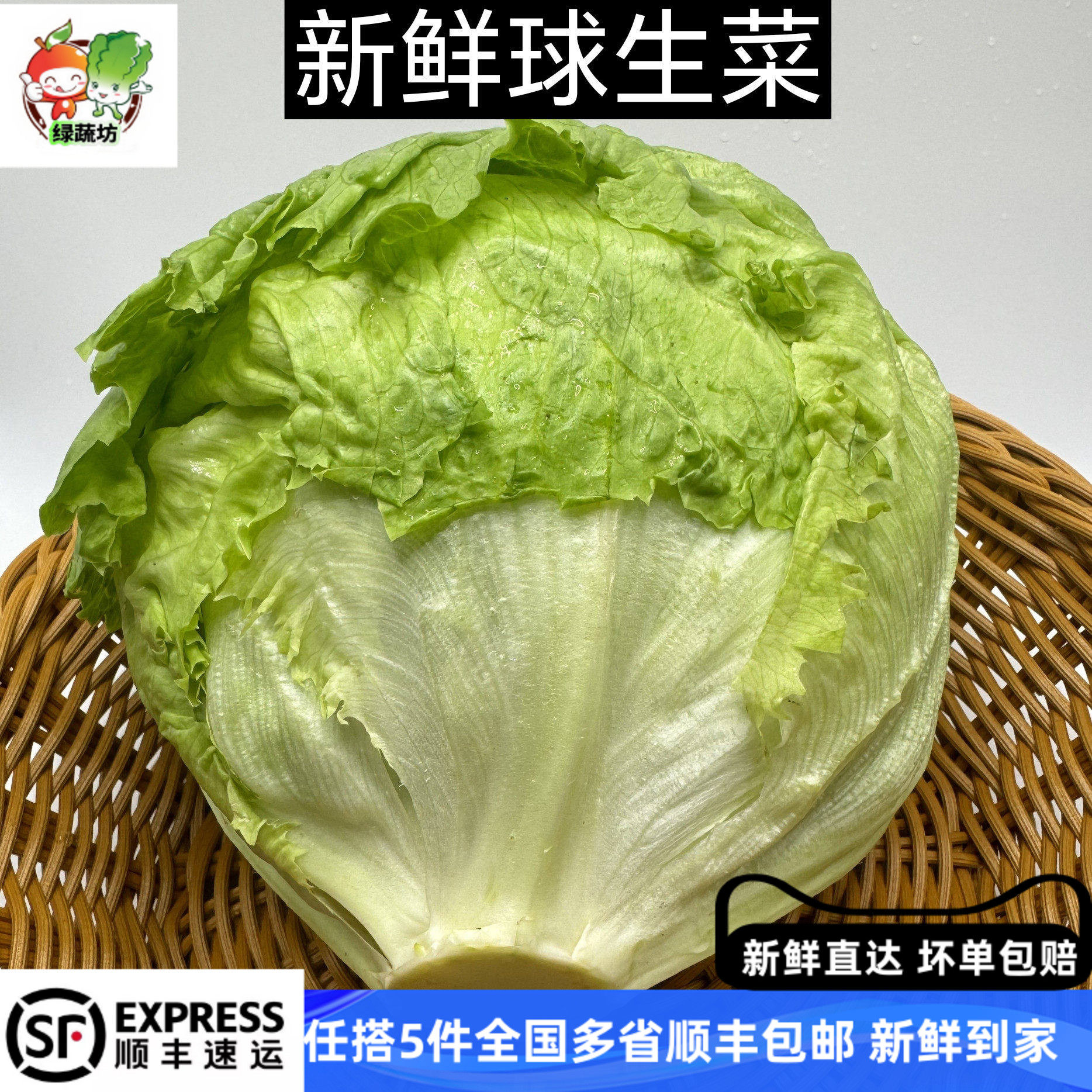 西生菜新鲜蔬菜圆生菜球包菜汉堡包蔬菜沙拉菜球生菜新鲜包邮500g