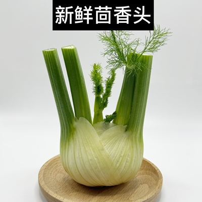 新鲜茴香头1-5斤 新鲜茴香根茴香球茎 西餐料理香料食材