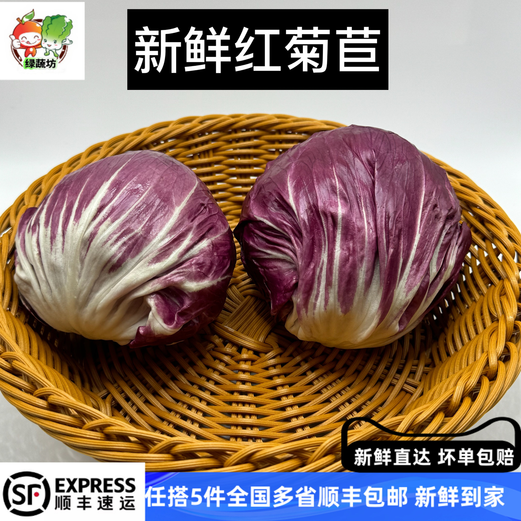 新鲜落地球生菜红叶包菜红菜落地红菊苣250g沙拉食材西餐配菜