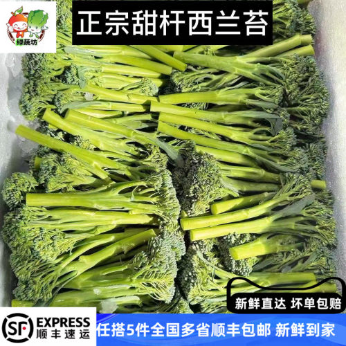 新鲜甜杆西兰花西兰苔兰花苔