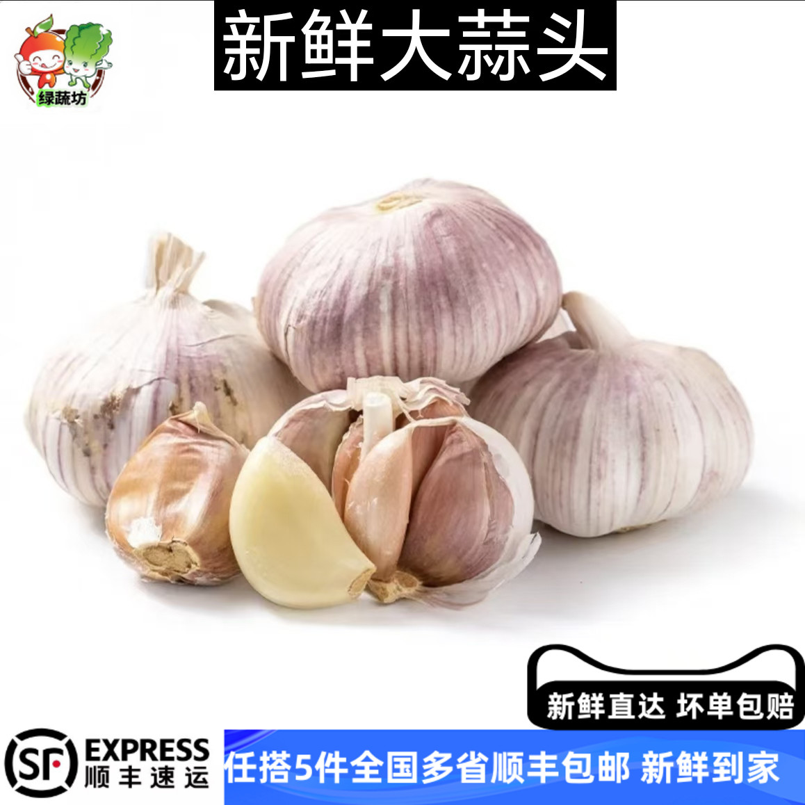 新大蒜头上市紫皮24年新晒干大蒜头特大蒜瓣种子红皮蒜1斤