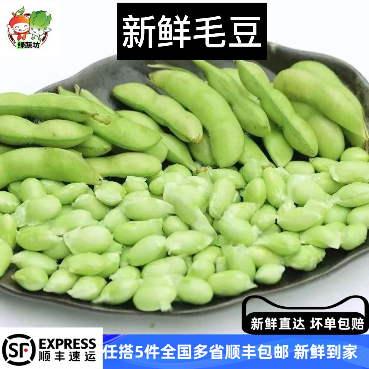 新鲜毛豆500g 毛豆荚 带壳毛豆 时鲜蔬菜