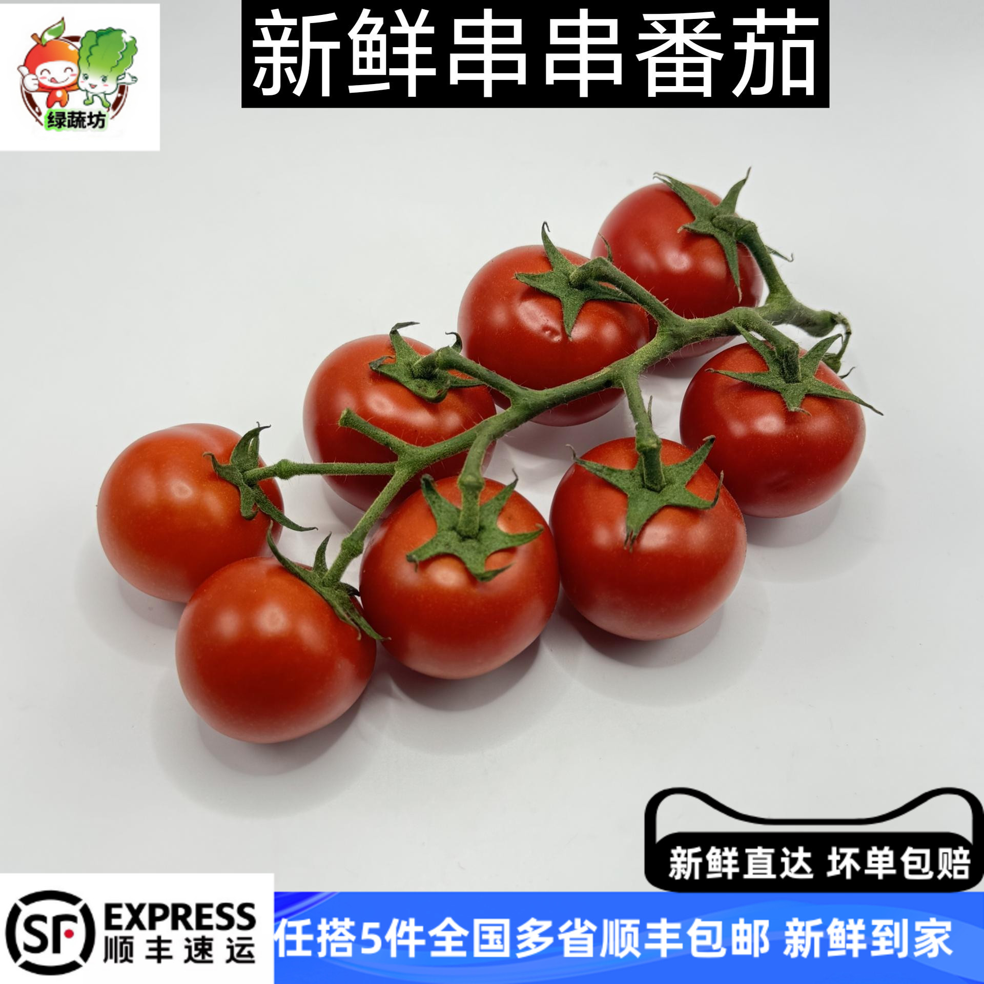 串红小番茄 新鲜串番茄 串红西红柿 蔬菜沙 西餐冷菜装饰摆盘