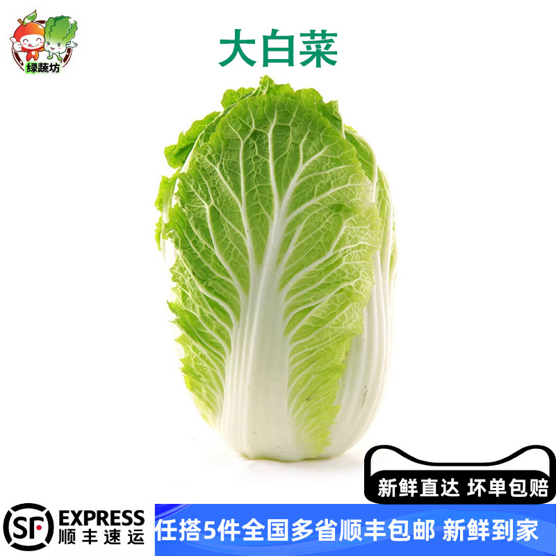 大白菜新鲜冬储现摘带叶可蘸酱