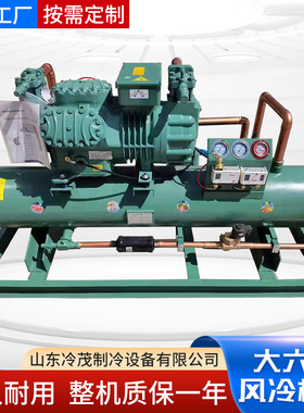 大六缸比泽尔保鲜冷冻半封闭活塞制冷设备低温25p30p40p风冷机