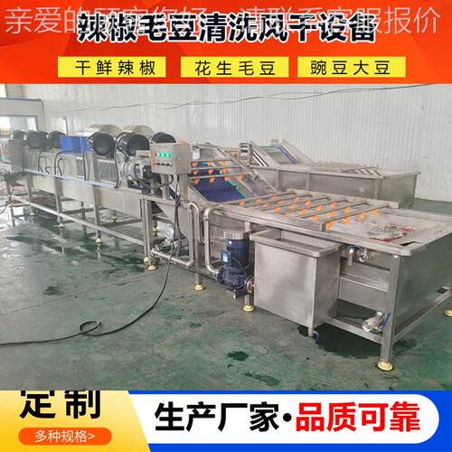 鲜QNY洗辣椒全自动清洗机用果蔬气泡清洗机器青花商椒清机风选机