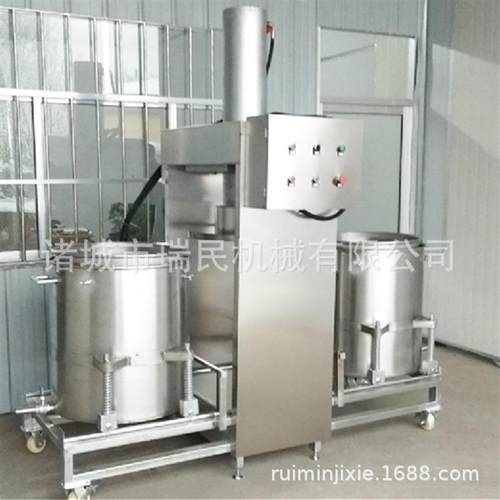 全自动苹果汁榨汁机 发酵葡萄酒压榨机 大型不锈钢压榨机