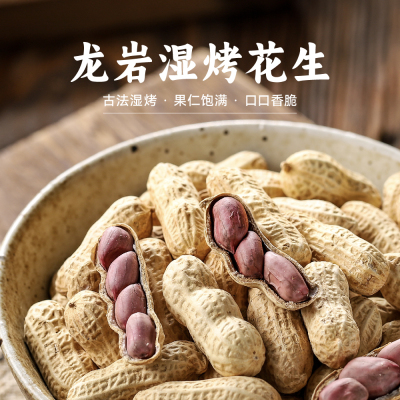 子归山龙岩湿烤花生福建闽西正宗特产红衣新货带壳下酒菜坚果零食